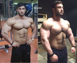 muscleryb:  Harun Yılmaz transformation