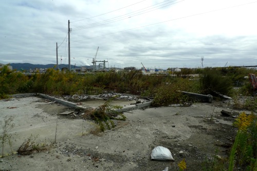 Last year I went to Ishinomaki 石巻, one of the cities that was hit hardest by the Tsunami auf March 2