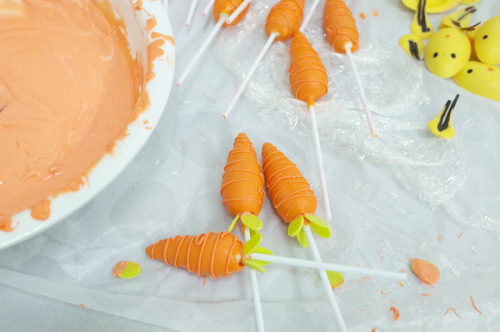 chefknecht:
“aperture24:
“carrot cake pops. happy holidays!
”
Awesome Easter cake! Great cake &pic aperture24”
Thanks for sharing aperture24