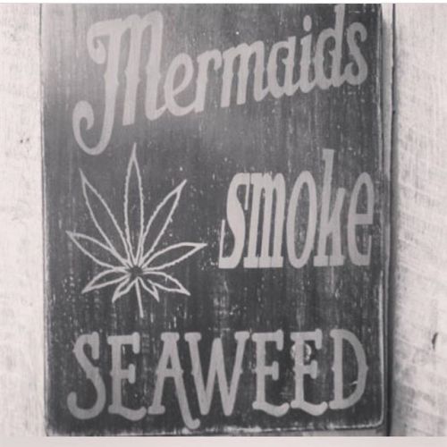 worldfullofganja