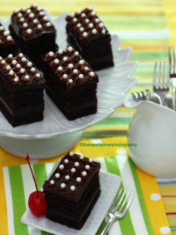 emerald753:  Double Chocolate Fudge Cake  http://theresahelmer.deviantart.comhttp://www.theresahelmerphotography.com/ 