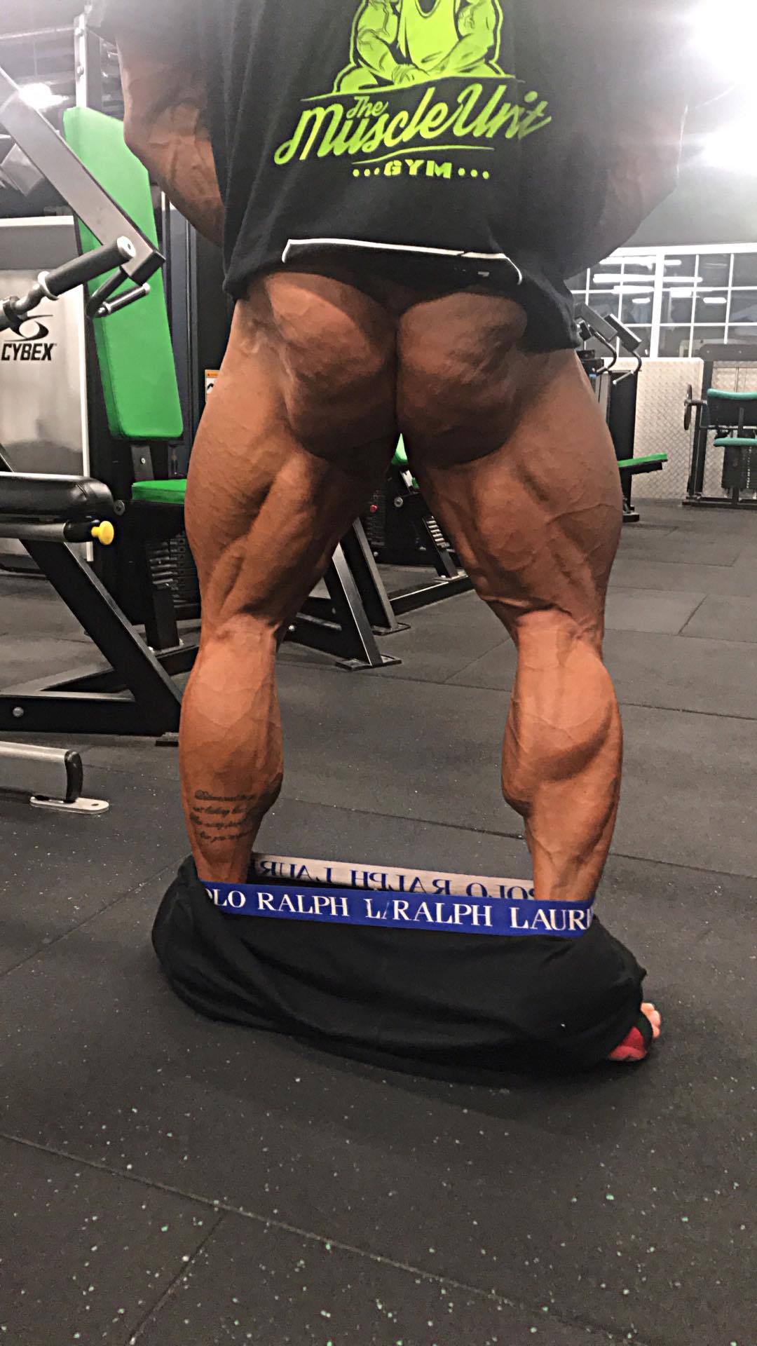 Rob Taylor