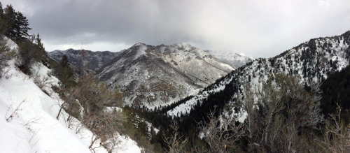 Mill Creek Canyon - Desolation TrailUinta-Wasatch Natl Forest