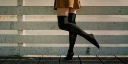 americanapparel:  Alexandra in the Corduroy Circle Skirt and Opaque Hold Up Stocking. Fall 2012. 