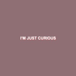 testiment:curious // hayley kiyoko