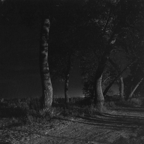 Robert Adams, Summer Nights, Walking: On the Colorado Front, 1976 - 1982