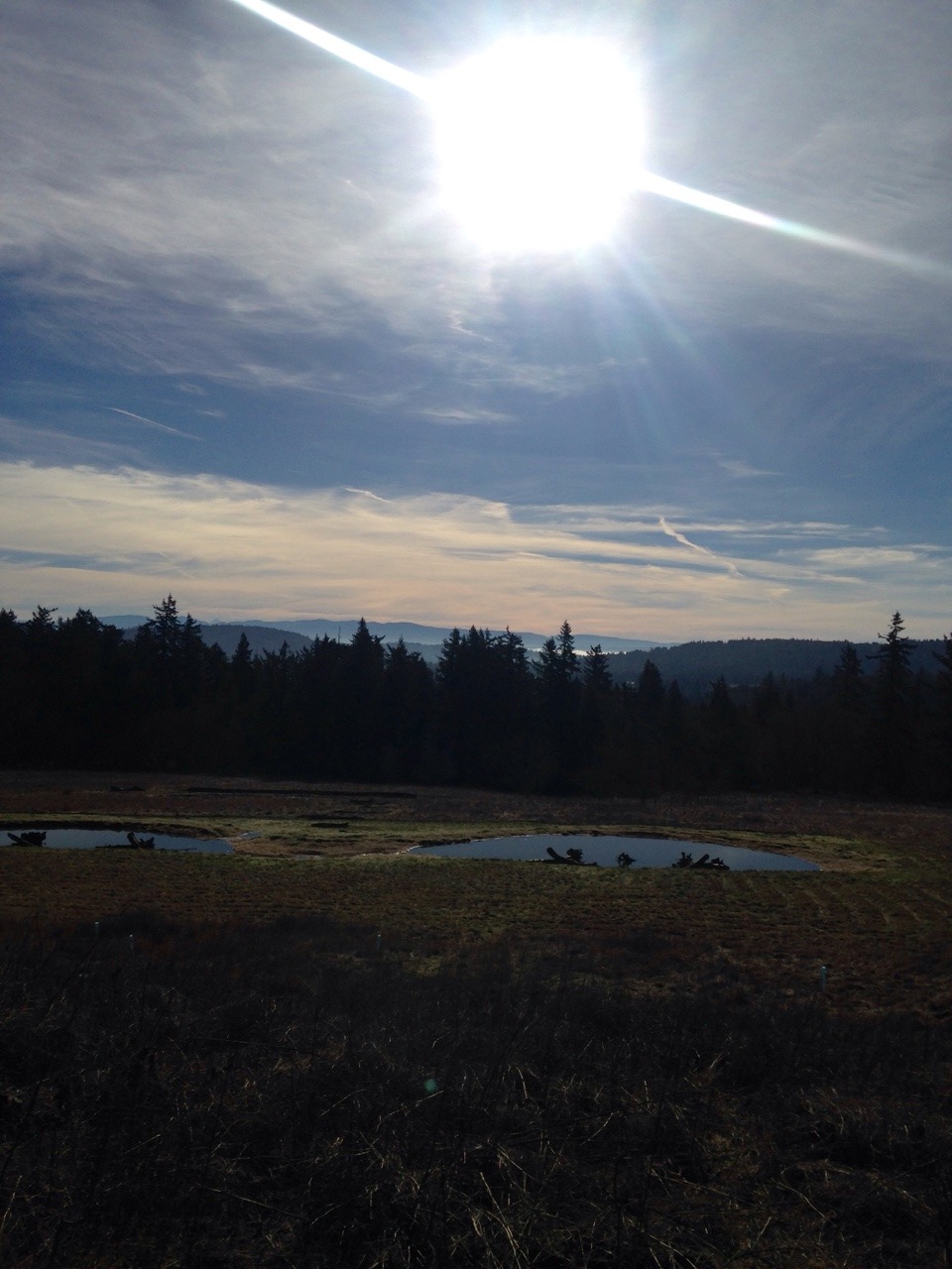 harmsland:  Oregon’s spectacular