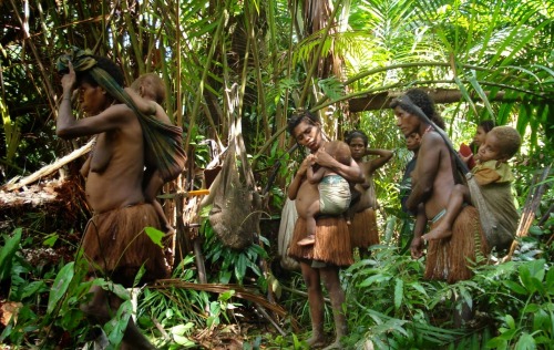 tribalbeauties:Korowai Tribe