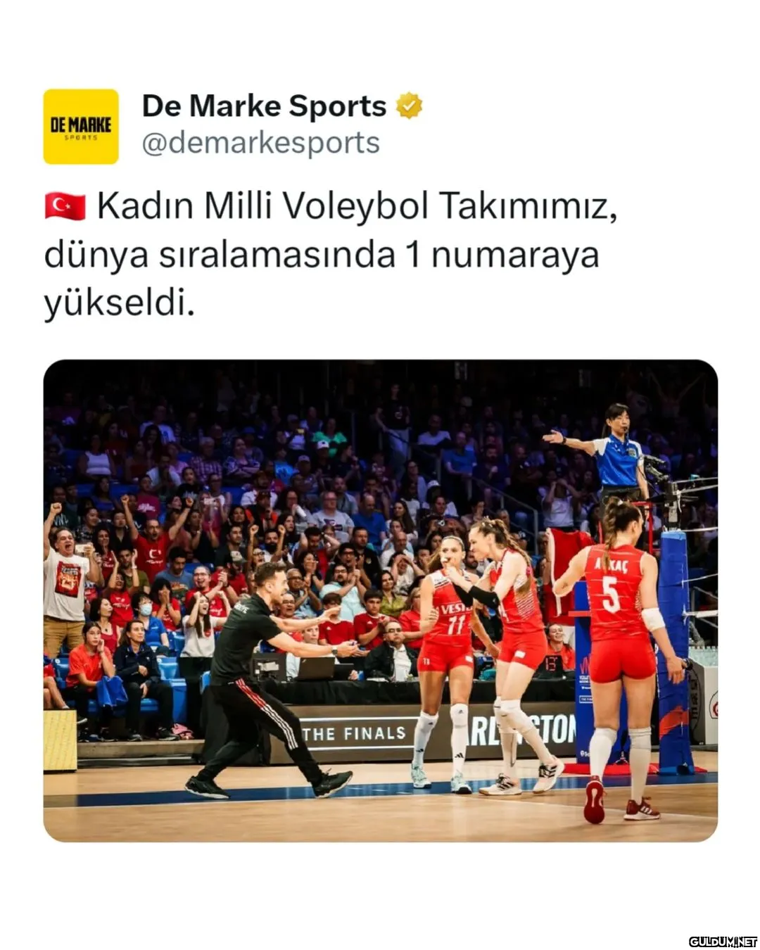 Dünyanın en iyisi 👏   DE...