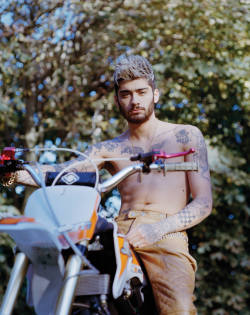 fuckyeahzarry:  Zayn for Fader Magazine 