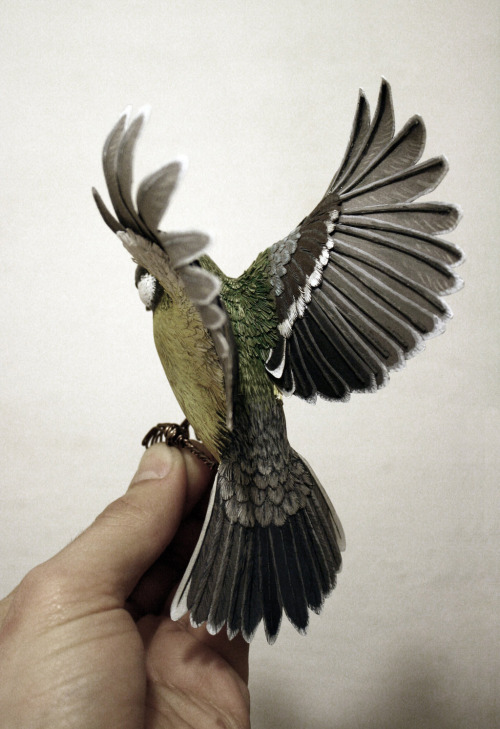 asylum-art: Paper Birds by Zack Mclaughlin