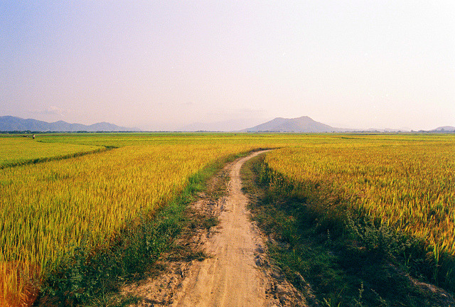 Small road on Flickr.
Via Flickr:
• Camera: Nikon FM
• Film: Fuji ProPlus 200
• Blog | Tumblr