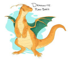 budoodles:  i wasn’t gonna finish these tonight but…. i had todragonite breeds!