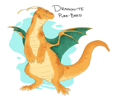 budoodles: i wasn’t gonna finish these tonight but…. i had to dragonite breeds!