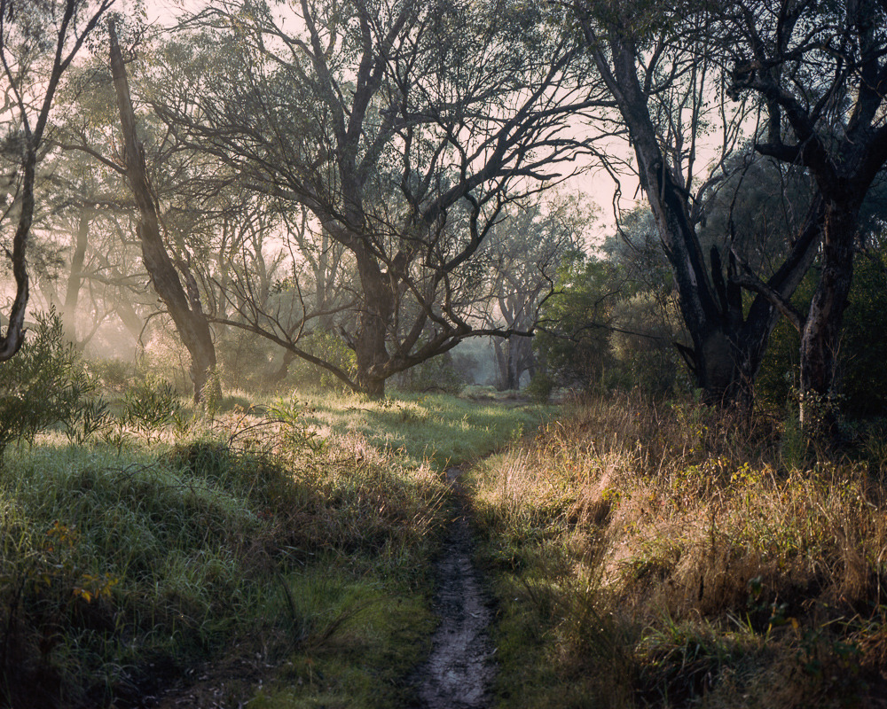 simondeadman: Canning River, July 2015