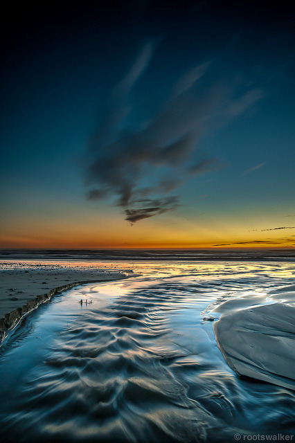 ladylandscape:  North of Año Nuevo by rootswalker on Flickr. 
