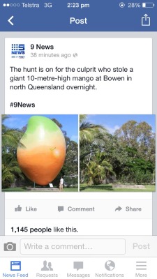 diggly: urlginal:  australian news  where did the mango 