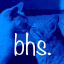 bhsystem
