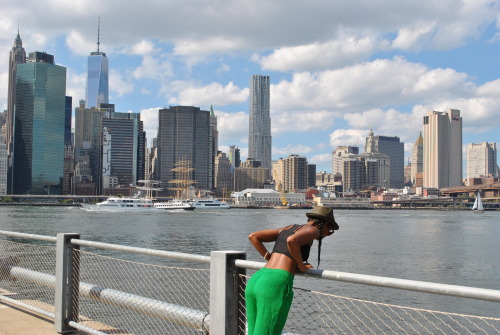 The View at Brooklyn Bridge Park.