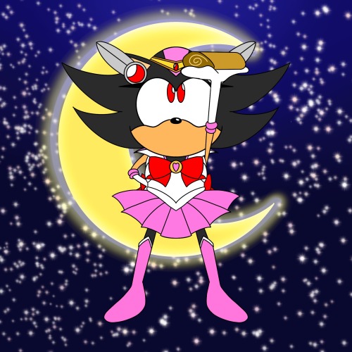 I Was Watching A Sonic Cartoon And There Were Scenes Were Shadow Became An Anime Girl, Idk Why But Its