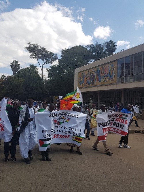 okrastew:March for Palestine today June 2, 2018 in Harare, Zimbabwe.