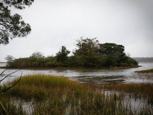 The Pine Barrens, New Jersey