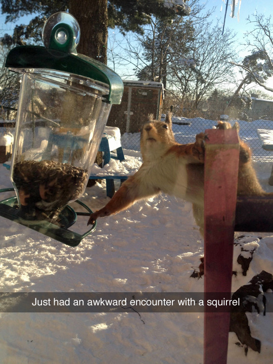 tastefullyoffensive:  “Um. This isn’t what it looks like.” (photo via supergingerlol)