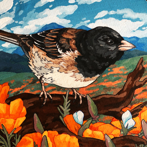 Dark-Eyed Junco Gouache And Ballpoint Pen On 8 Inch Wood Panel $100, Message If Interested!