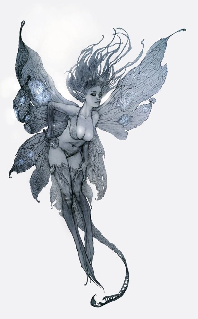 senseorsensuality:  Fairy by Den3221