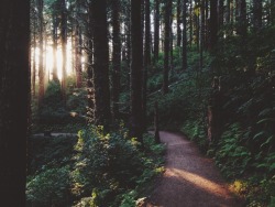 bvddhist:  decepticun:  Cape Lookout by (JAKESZY)     