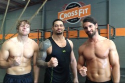 marylovestheshield:  The Shield Spam!! Happy