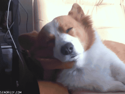 redwingjohnny:  good morning tumblrsville  :) 