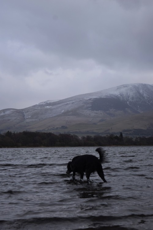 blinded-by-wanderlust:Lake District .2