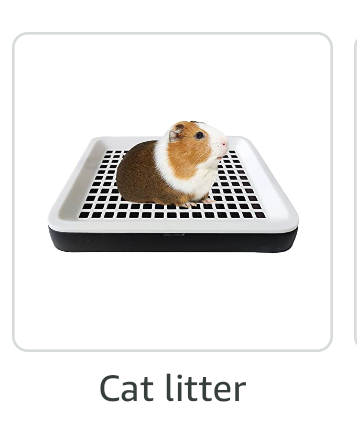 I'm No Expert But I'm Pretty Sure That's Not A Cat, Amazon.