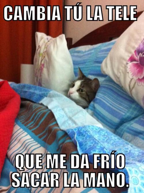 ☼ ☼ ☼ ☼ ☼ ☼ ☼ ☼