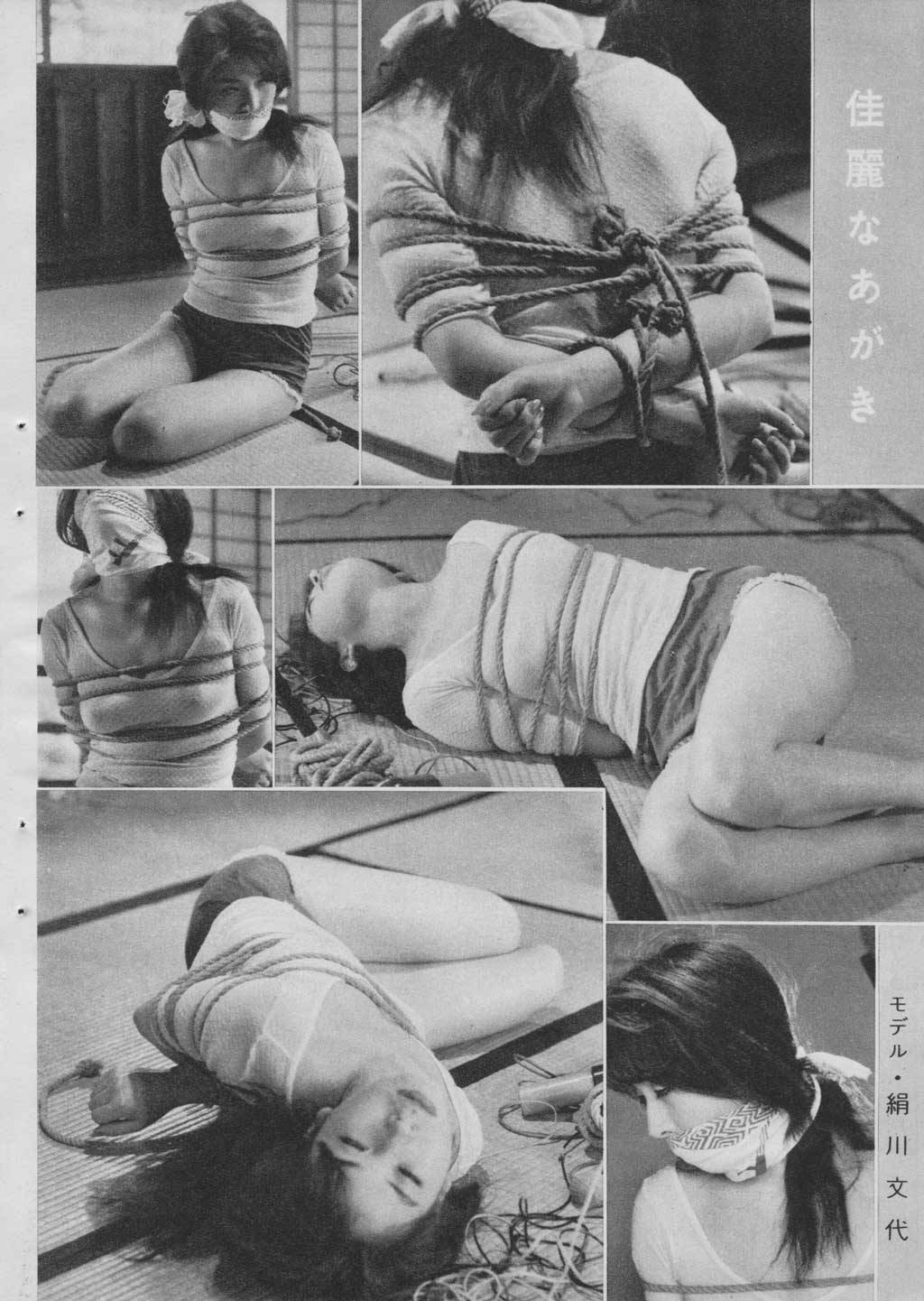 VIOLENZA