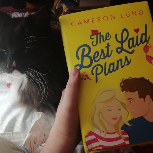 REVIEW
The Best Laid Plans by Cameron Lund
[[MORE]]Book Summary: “It seemed like a good plan at first.
When the only other virgin in her group of friends loses it at Keely’s own eighteenth birthday party, she’s inspired to take things into her own...