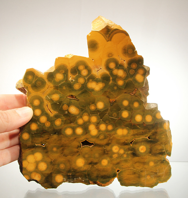odditiesoflife:  The Mysterious Rediscovery of Ocean Jasper Ocean jasper is such