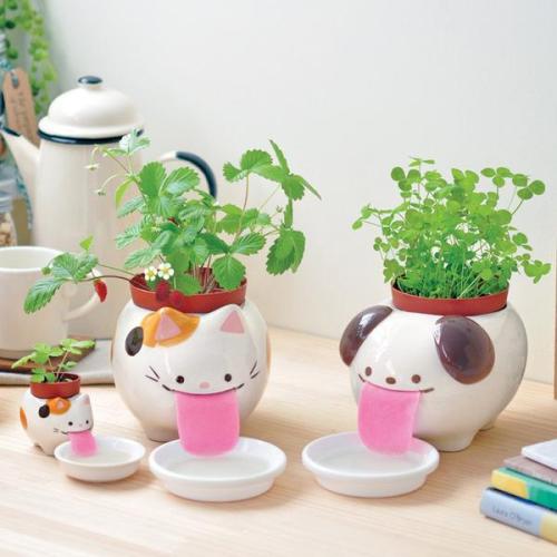 figdays:Mini Animal Planters from Banggood