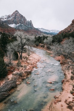 alozor:  Zion National Park 