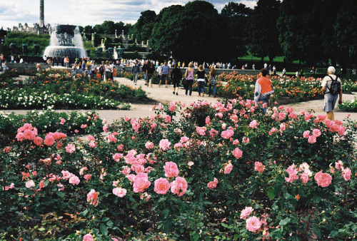 lafleurdesmurailles:  Vigelandsparken by annalistic on Flickr. 