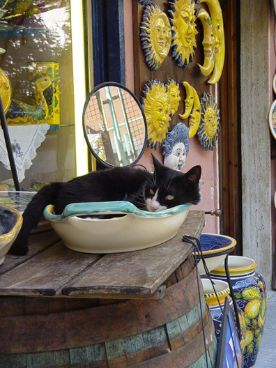 Shop in Cinque Terre - Liguria - Italy(via poz pictures)