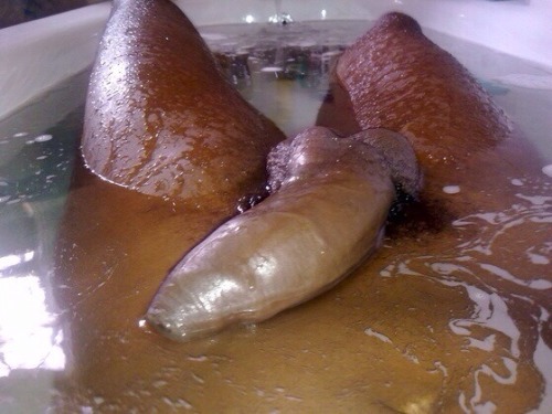 reviewmycock:  He wants you to wash his back. Would you mind? :)