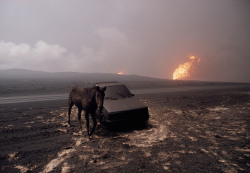 soldiers-of-war: KUWAIT. Burgan oil fields.