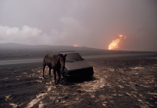 soldiers-of-war: KUWAIT. Burgan oil fields. 1991. The invasion of Kuwait by Iraq took place on August 2, 1990. It was followed by the Allied intervention under operation Desert Storm. The Allies finally liberated Kuwait on February 27, 1991 after 7 months