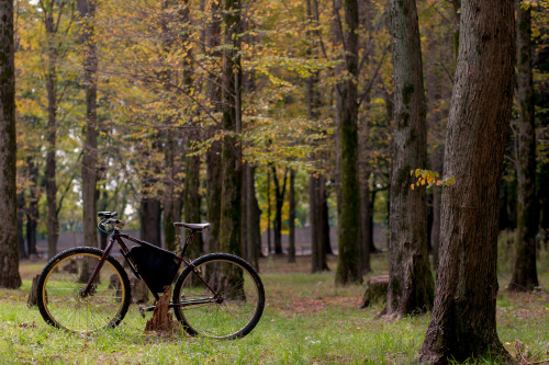 bicyclephotomag:  「自転車と写真。」で、先日アップした画像をこちらでも。 関東地方は、もう少しで本格的な紅葉が訪れ、森や林の撮りがいがある時期が到来するので、休日には紅葉を探しにでか