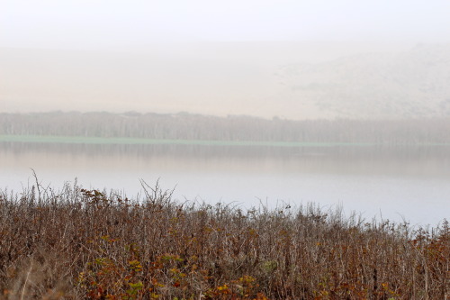 steepravine:  Foggy Beach And Lagoon (Point Reyes, California - 12/2013)