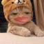 scasexx