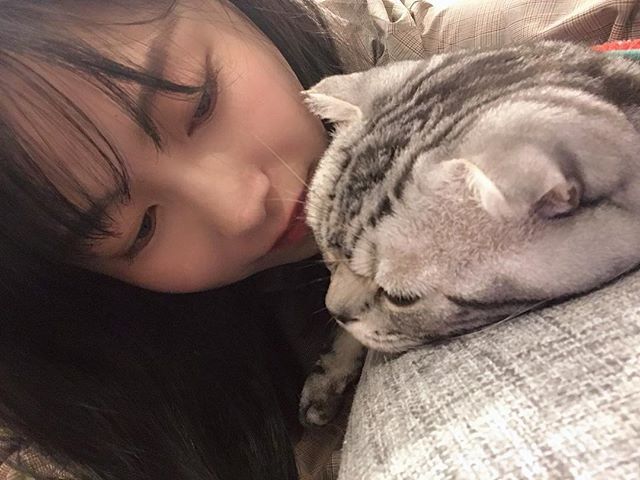 udoncenter:   #横山由依#AKB48  