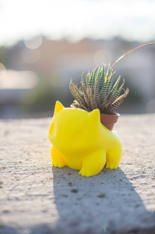 insanelygaming:  Bulbasaur Planter Created by PrintAworld via   moon83     Those cause cancer you dumb b*tch.